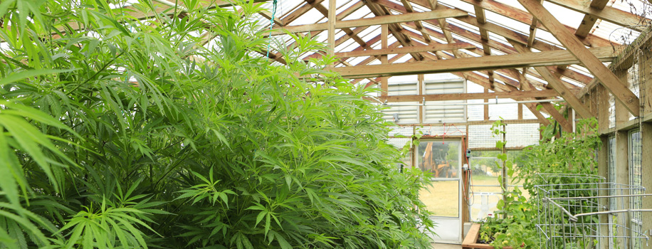 Security Solutions for Apartments in East Point, KY